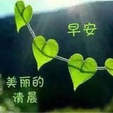 购物狂2500
