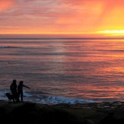 皮皮李和宝宝毛毛