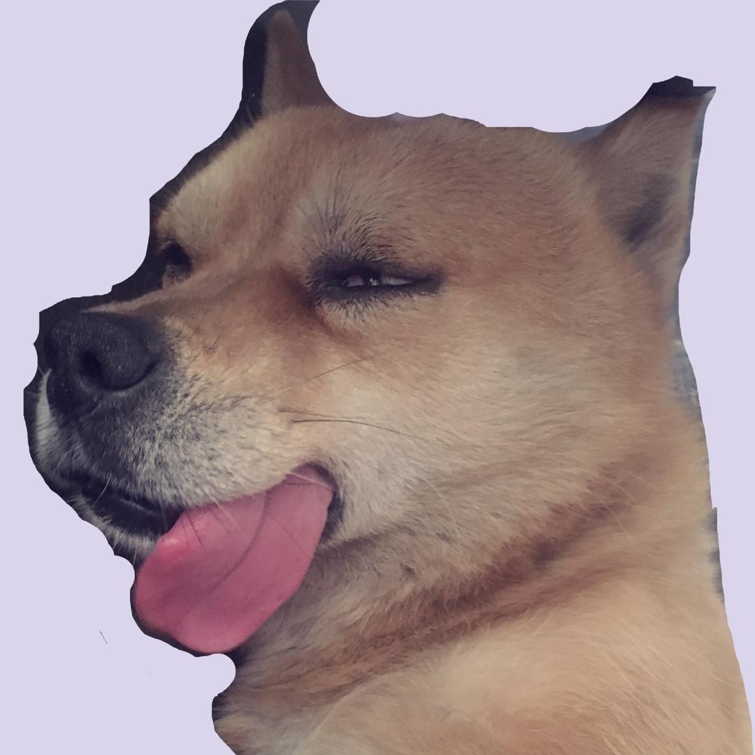 poopooh