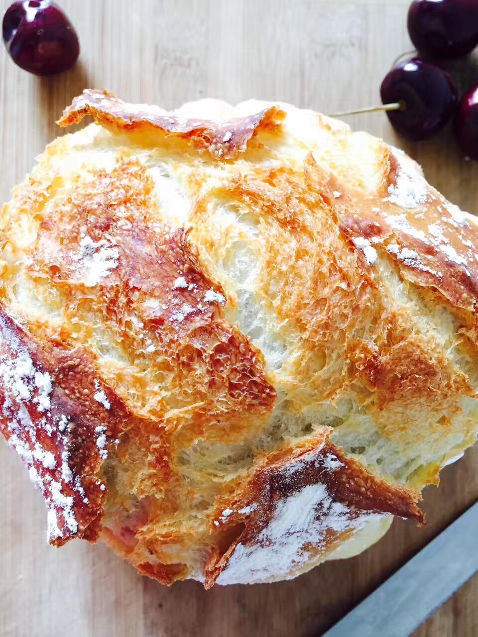 欧包/乡村面包-无油不用揉 No Knead Bread