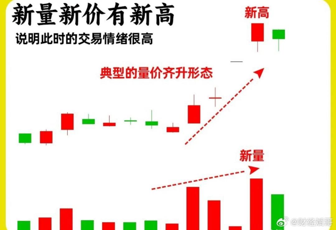 丸美户2033_0mq8