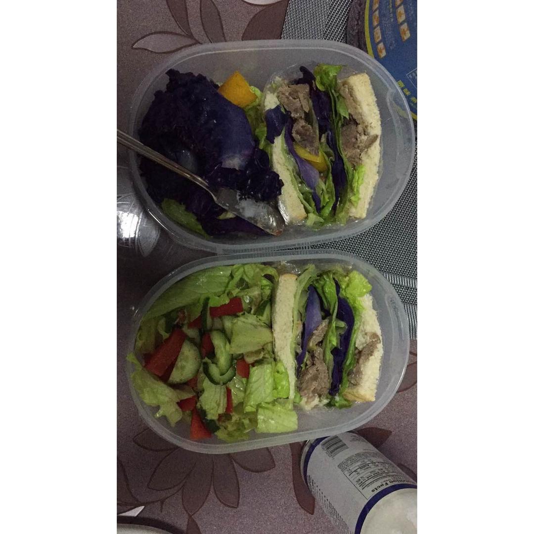meal prep ~减脂期