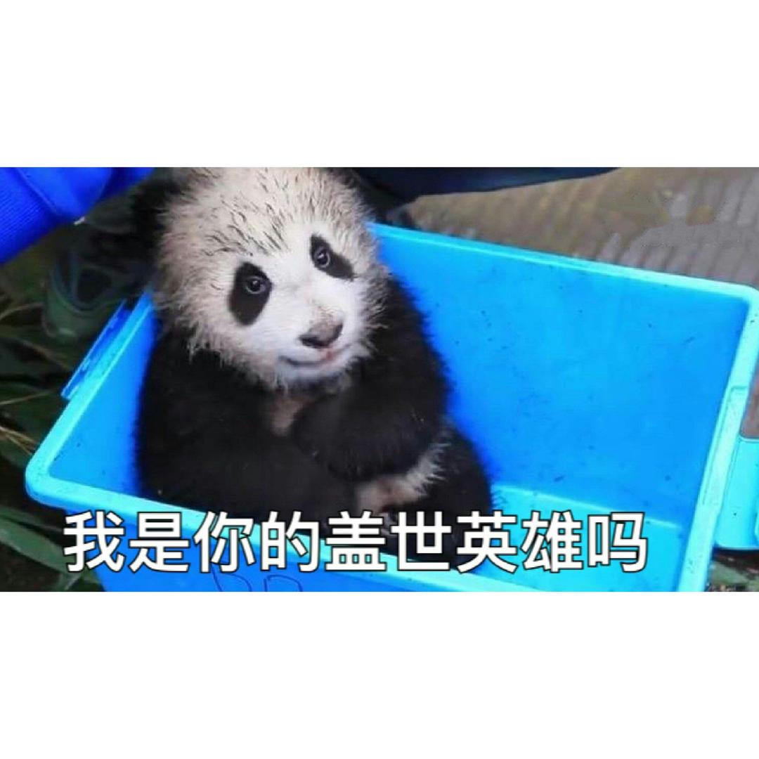 (っ´▽`)っ