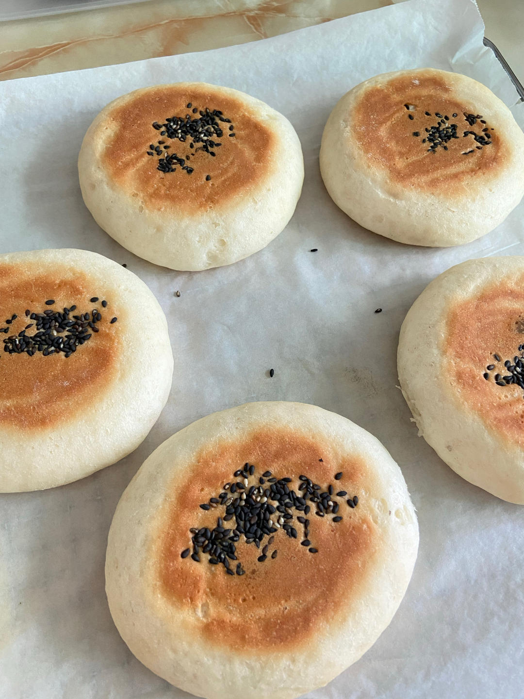 波兰种日式红豆包