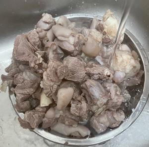 广式萝卜羊肉煲的做法 步骤4