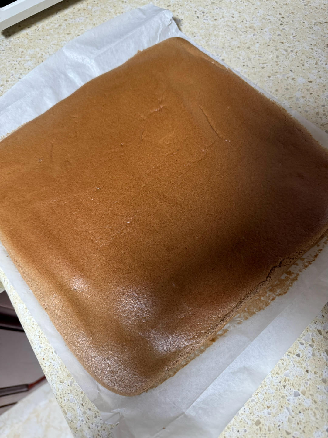 🍫双倍浓郁｜巧克力蛋糕卷｜卷不裂｜不消泡｜脏脏小贝