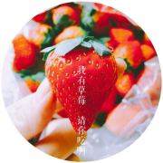莫遥1114