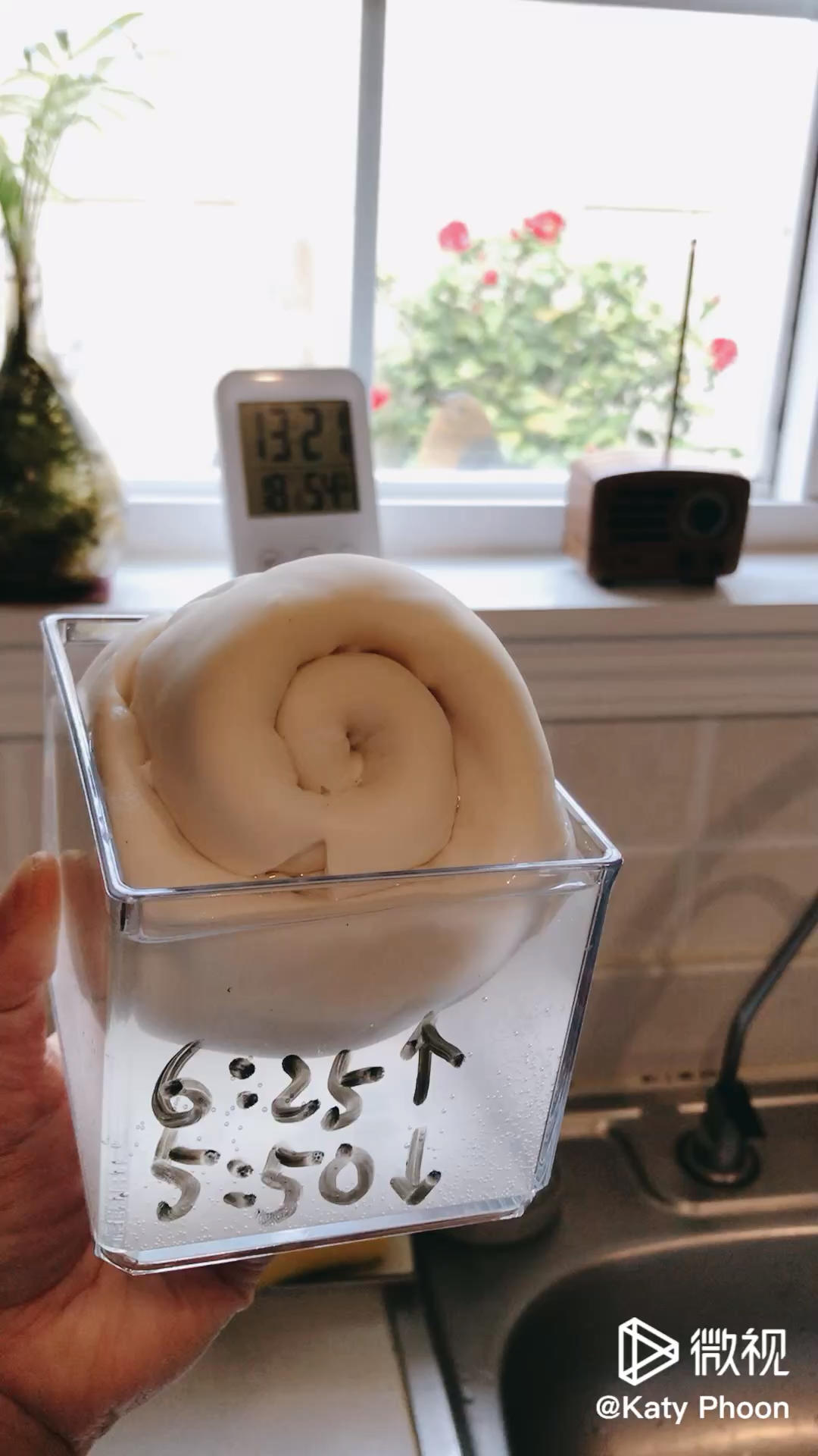 意大利水式酵母（Pasta Madre)