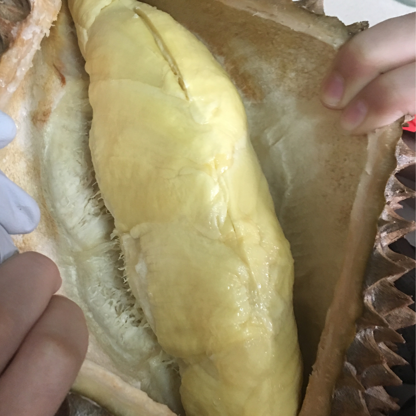 伱开过的那些榴莲