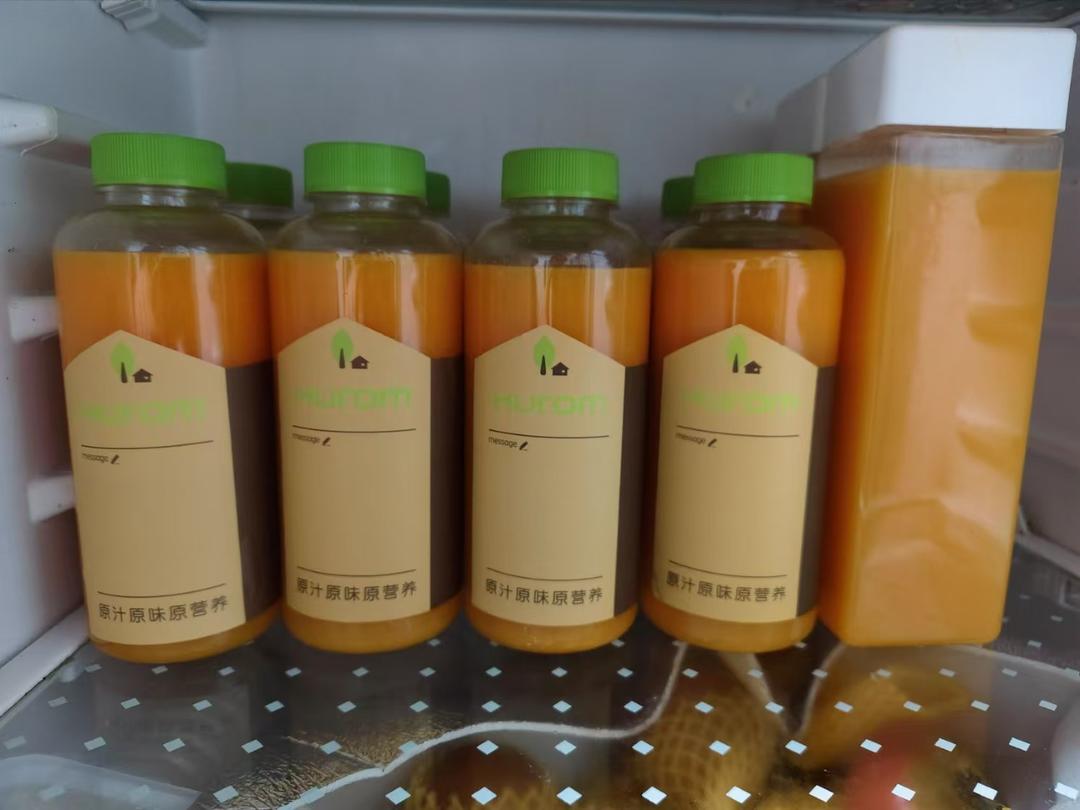 沙棘酵素的制作方法