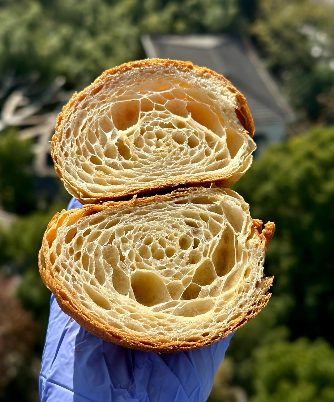 可颂练习题---只是笔记