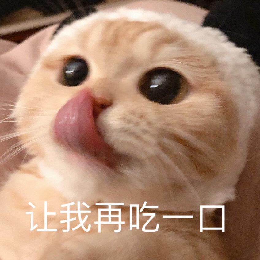 Zoey偶尔爱做饭
