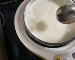 自制酸奶（酸奶机版本）的做法 步骤7
