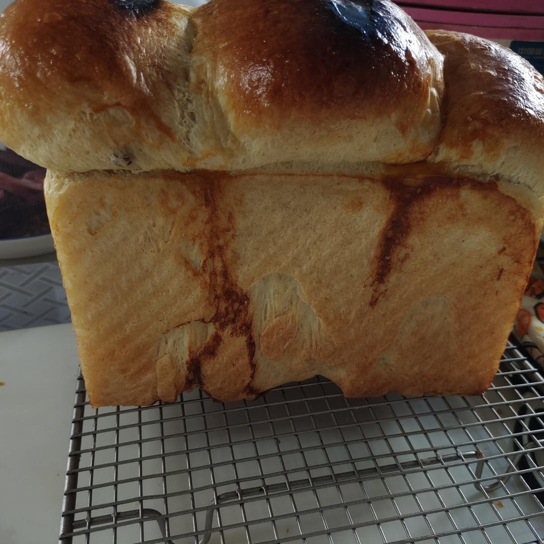 爆发力惊人的70%中种全麦吐司