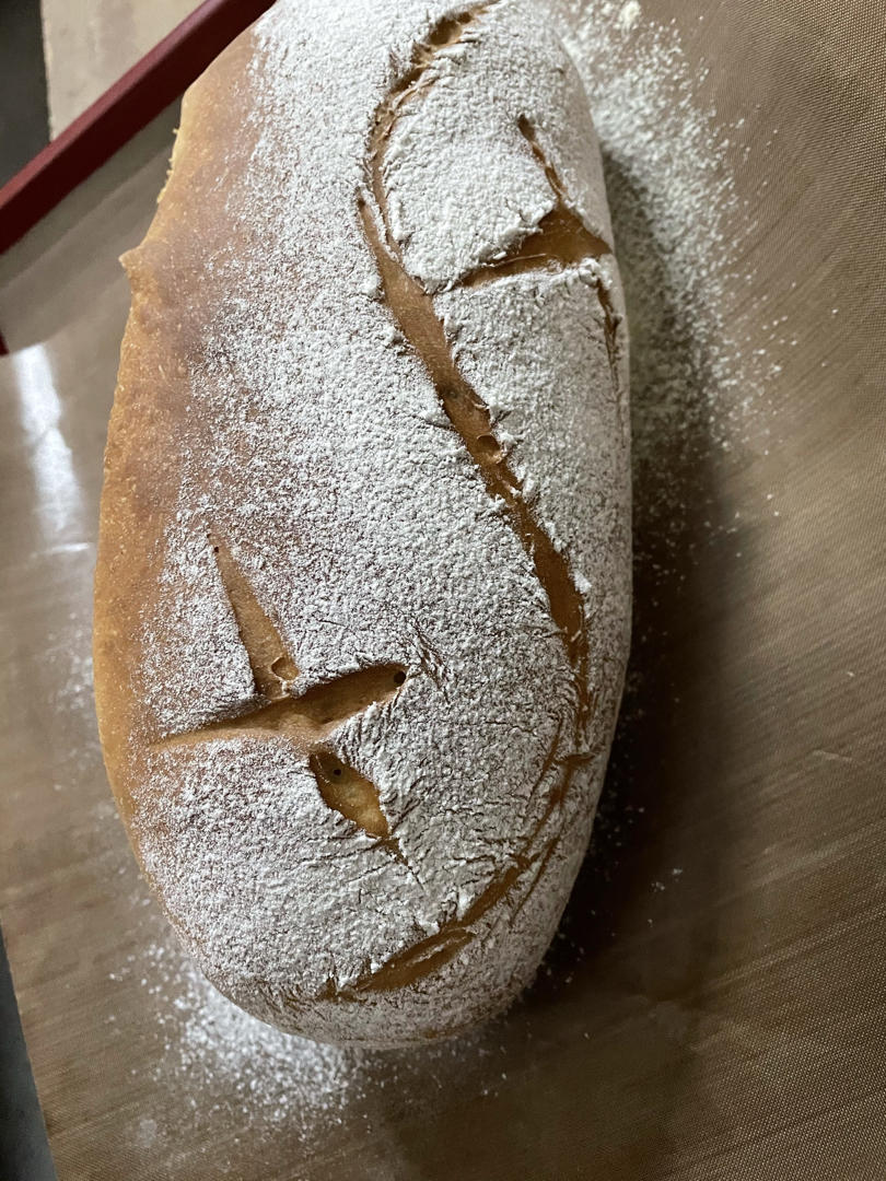 全麦软欧包（有啥放啥，健康美味，流程简易）