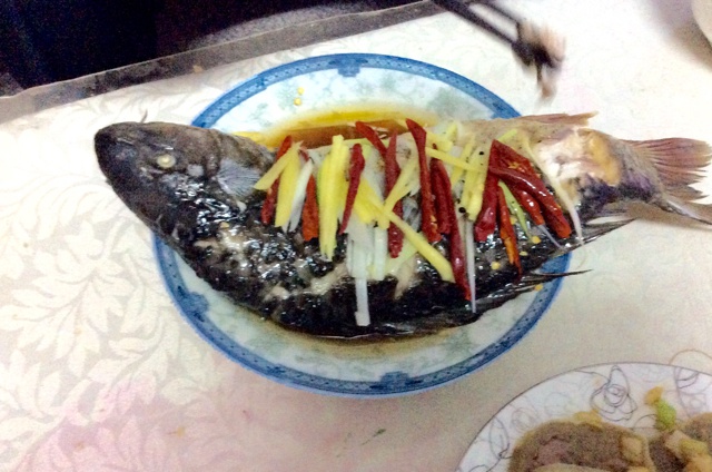 红烧鲤鱼