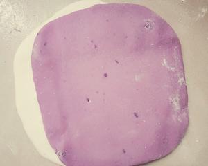 千层紫薯馒头的做法 步骤4