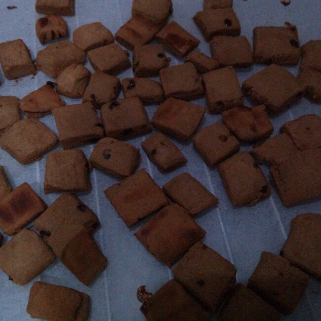 牛奶方块小饼干