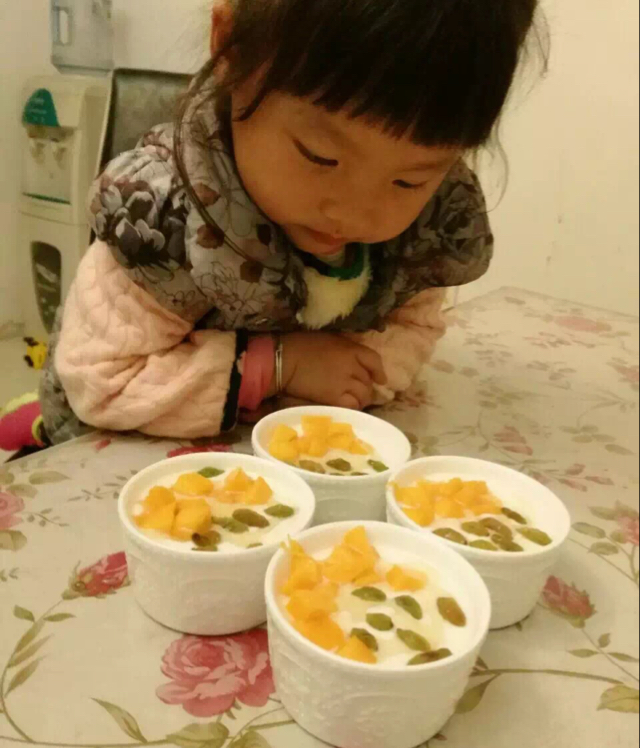 酸奶机自制酸奶