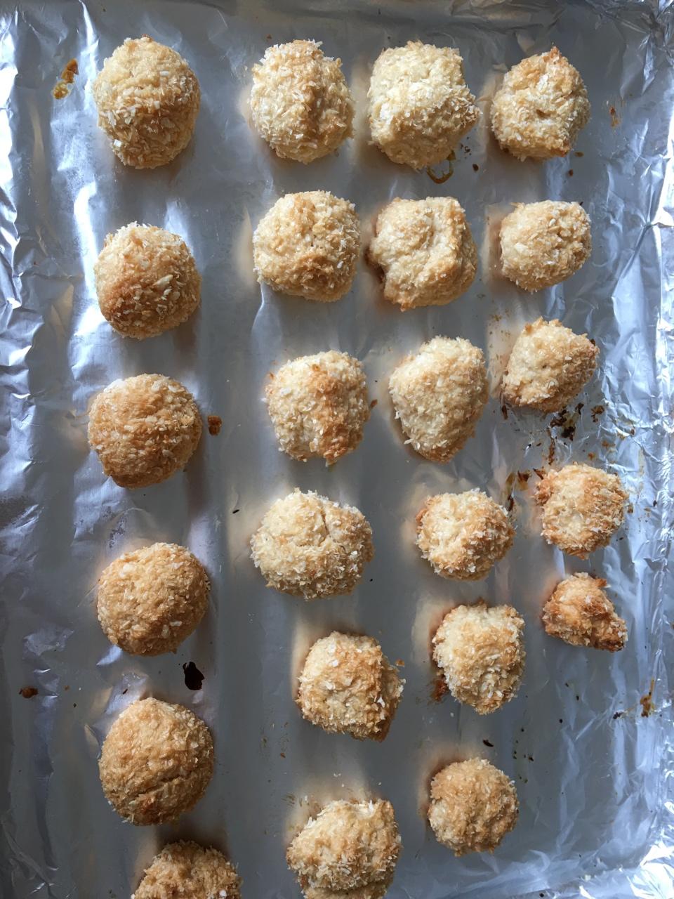 蛋白椰丝球