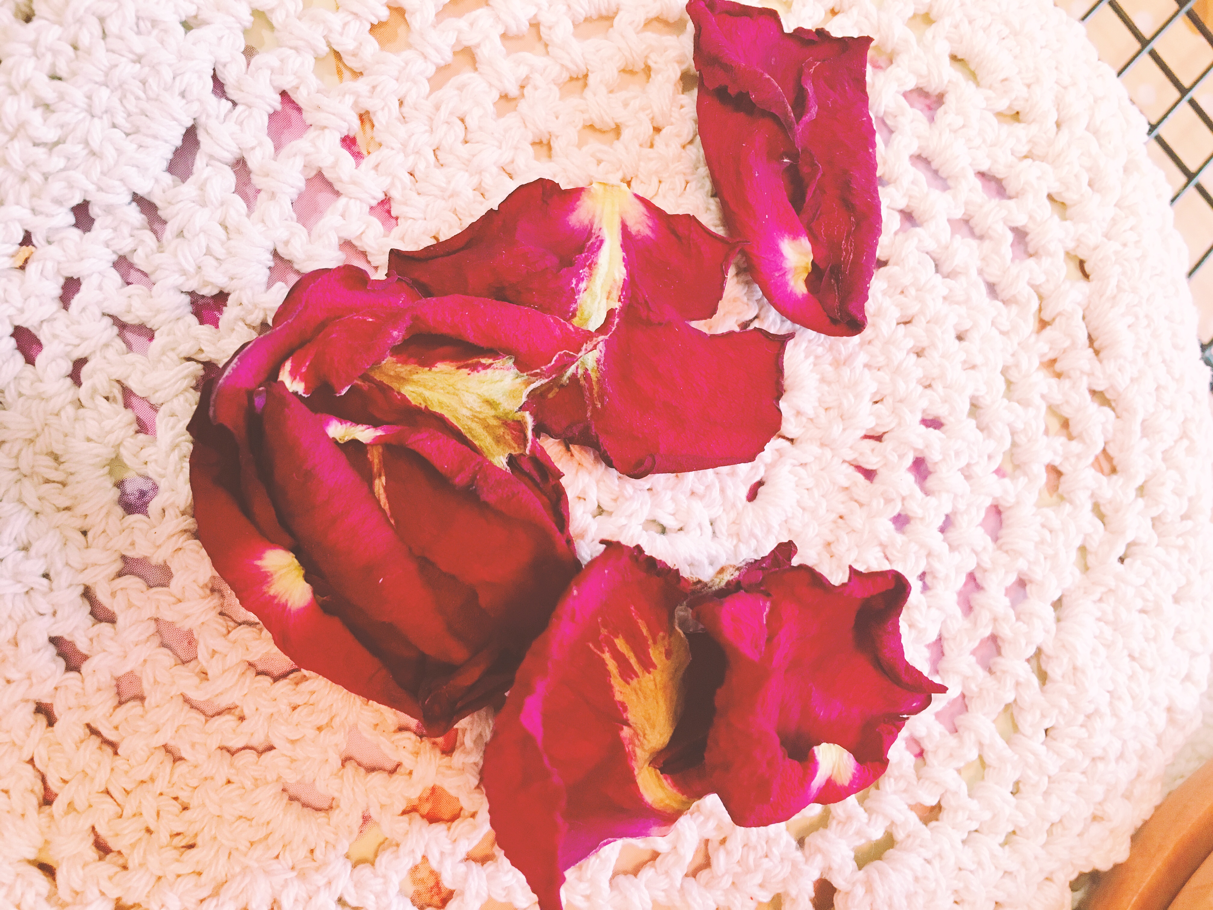 让你爱的玫瑰陪你更久～自制干玫瑰花束其实很简单的做法 步骤10