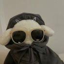 手机用户3917_3k5m