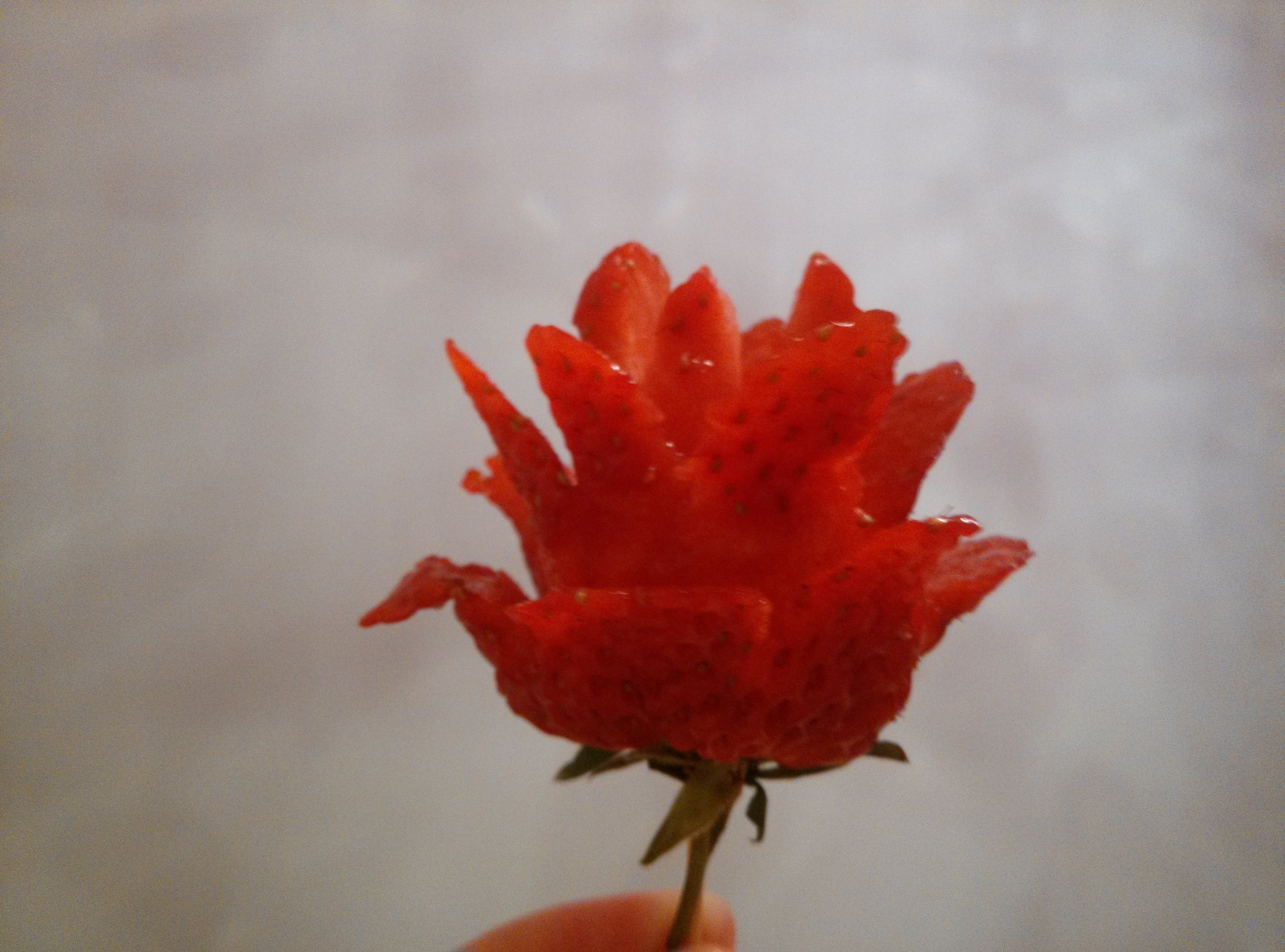 草莓玫瑰花