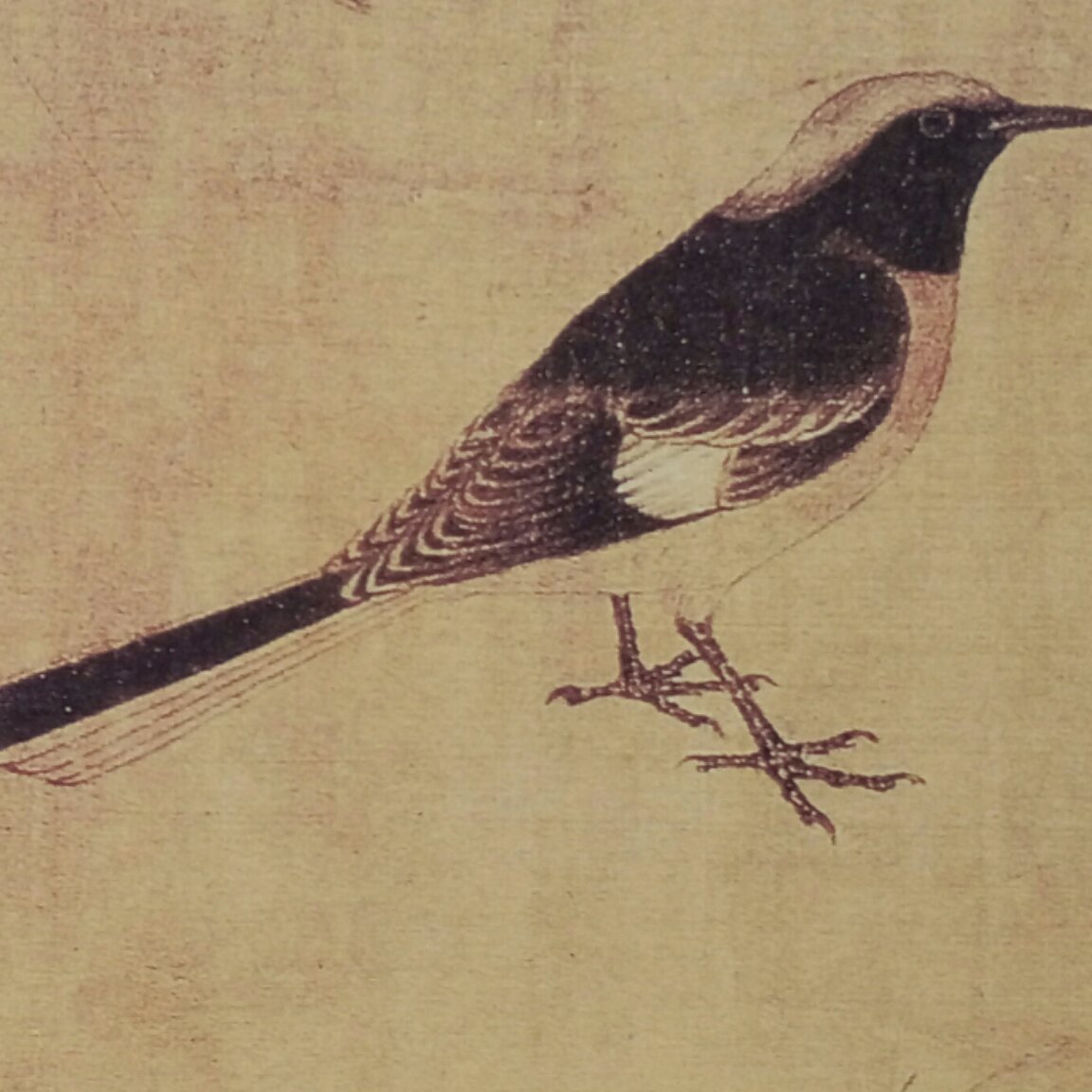 用户5805066408