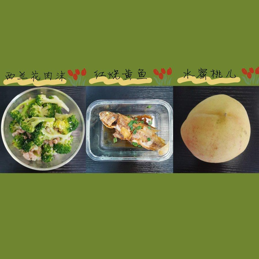 更期待明天的便当集🍱🥢