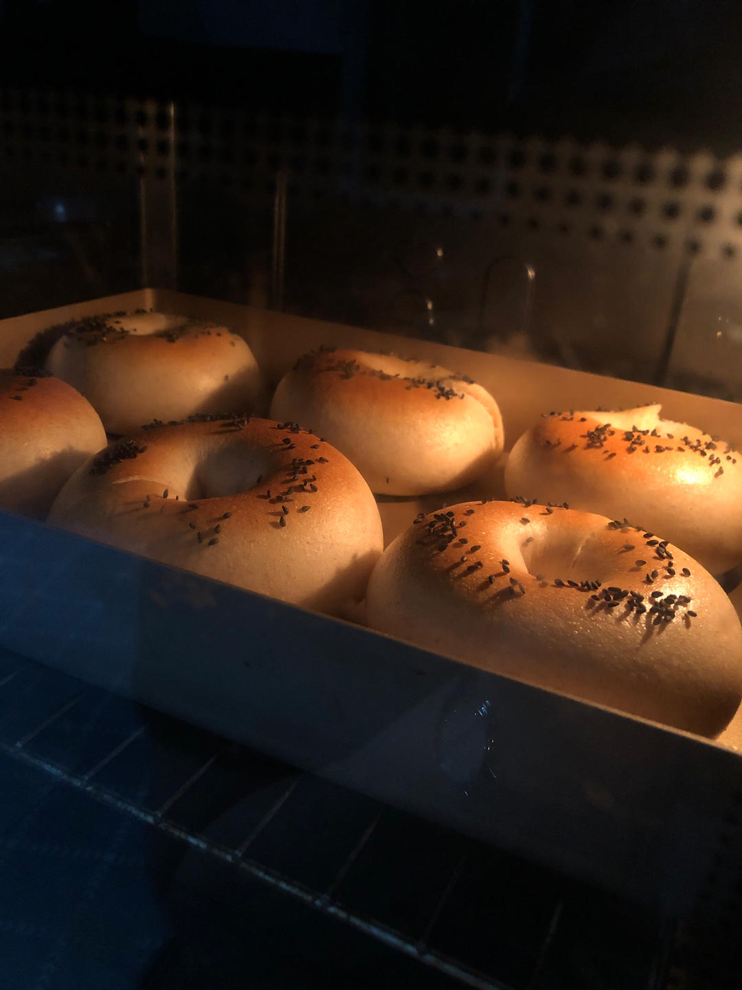 黑芝麻全麦贝果