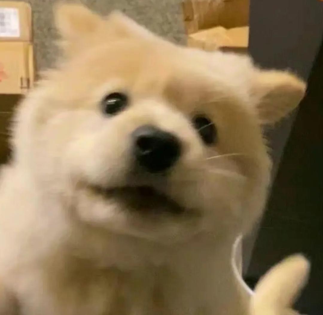 麻油yyy