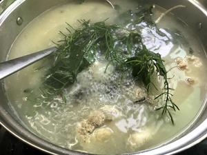 【顺德厨娘】生鱼两味，野葛菜煲生鱼汤，炒生鱼片的做法 步骤5