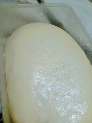 椰子油红豆沙面包卷的做法 步骤4
