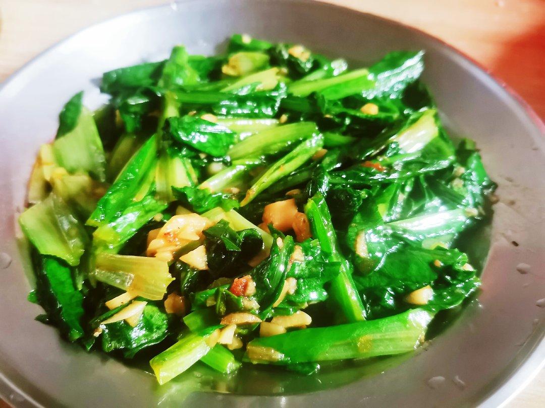 蒜蓉油麦菜（蚝油）