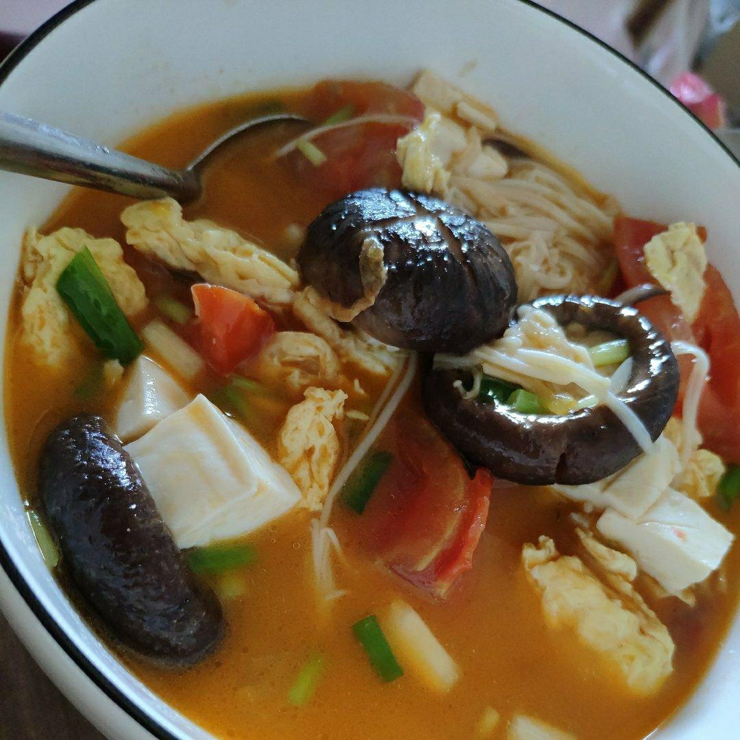 西红柿菌菇豆腐汤