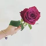 Florencelinlinlin