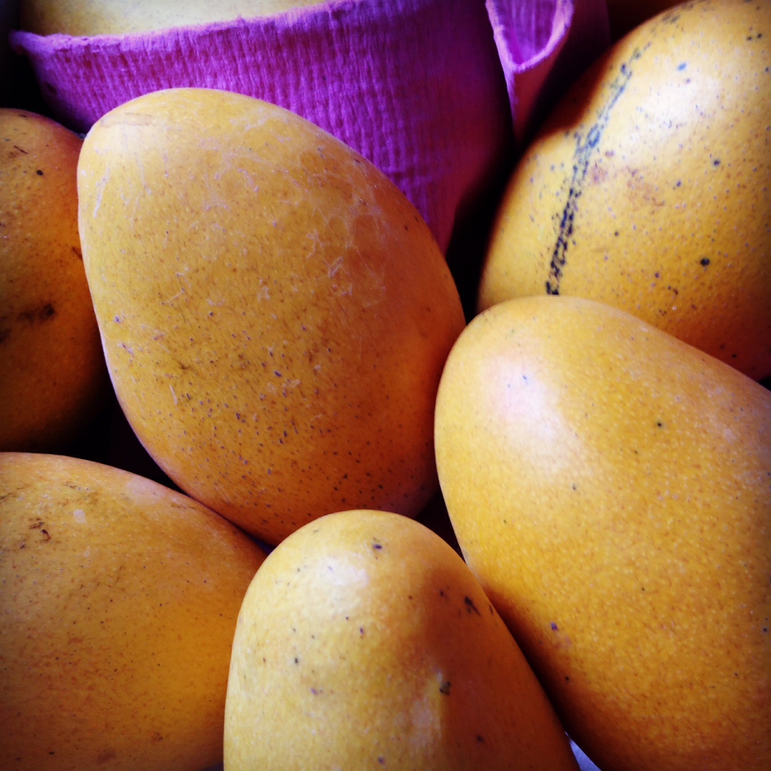 有家有爱有美食