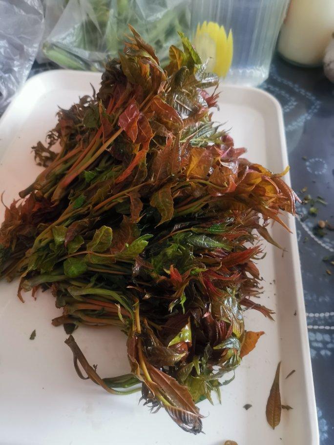炸香椿（香椿芽最好吃的做法）