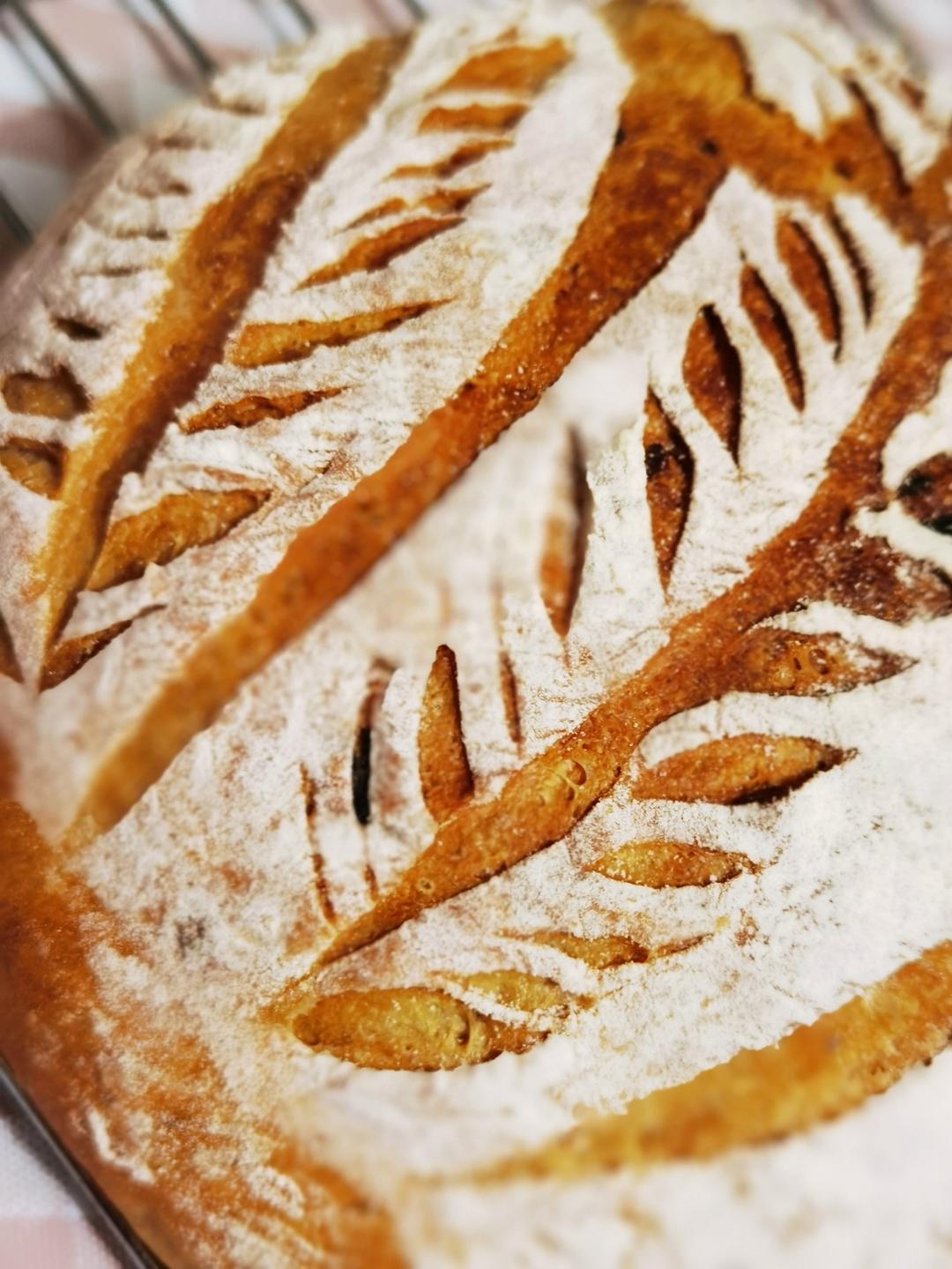欧包/乡村面包-无油不用揉 No Knead Bread