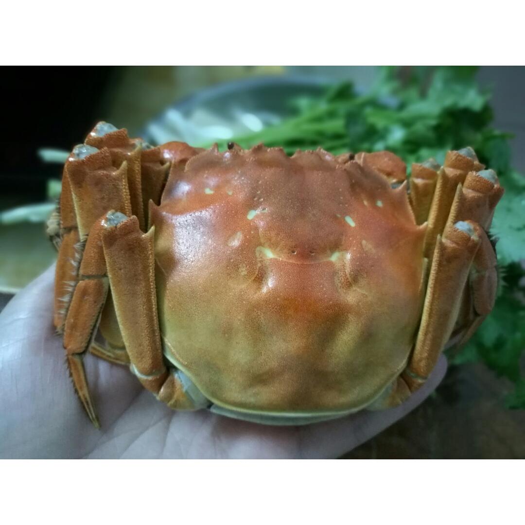 清蒸大闸蟹