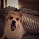 轩轩妈咪哟