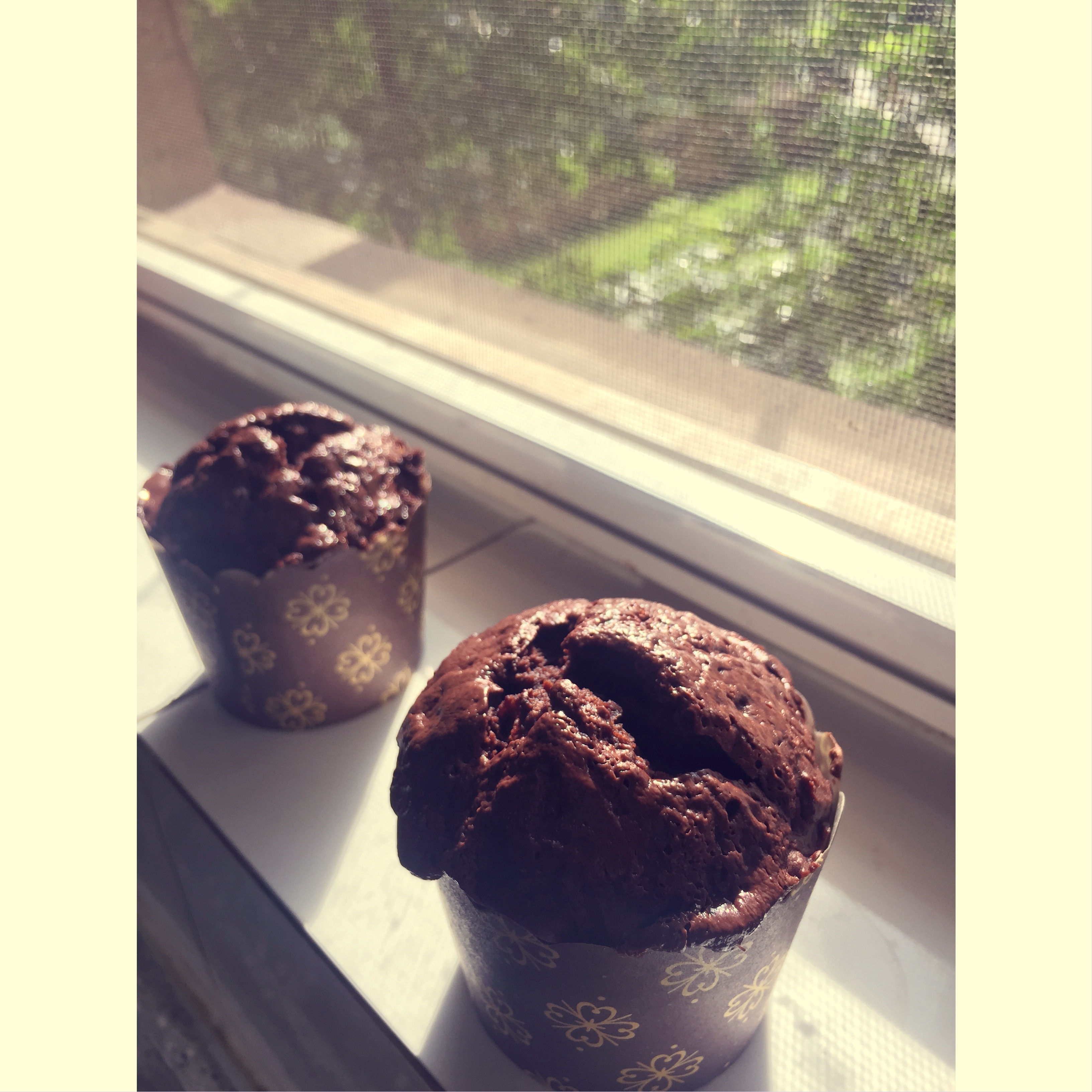 浓情巧克力摩卡马芬<Chocolate Espresso Muffins>