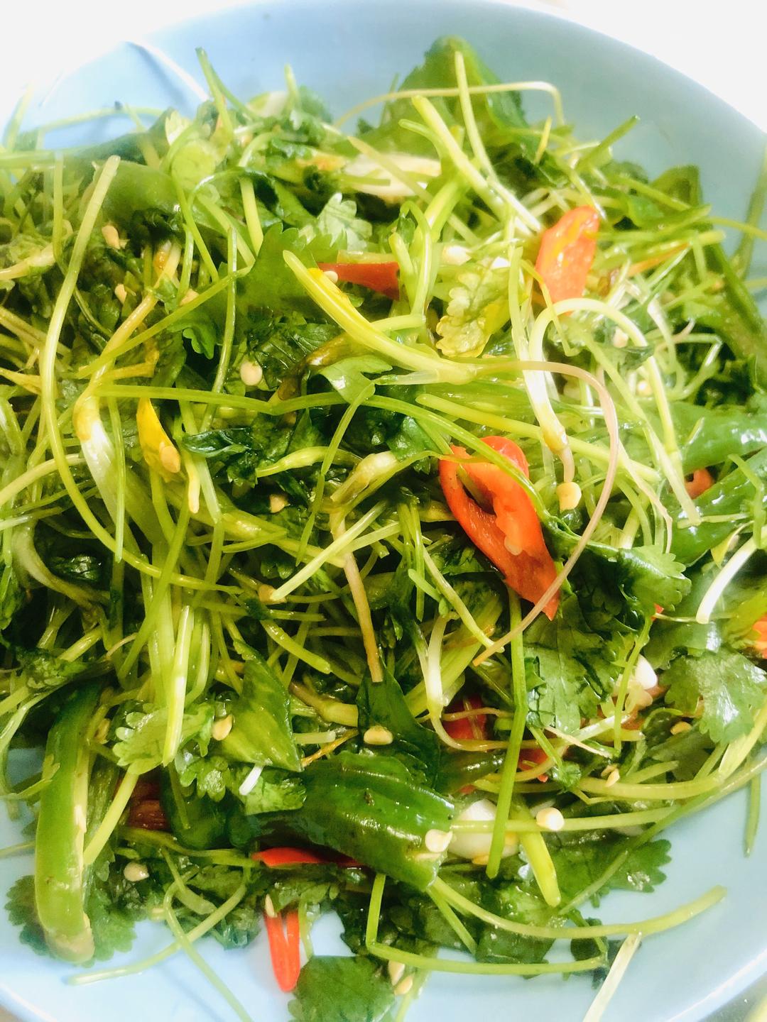 凉拌香菜91老虎菜的做法