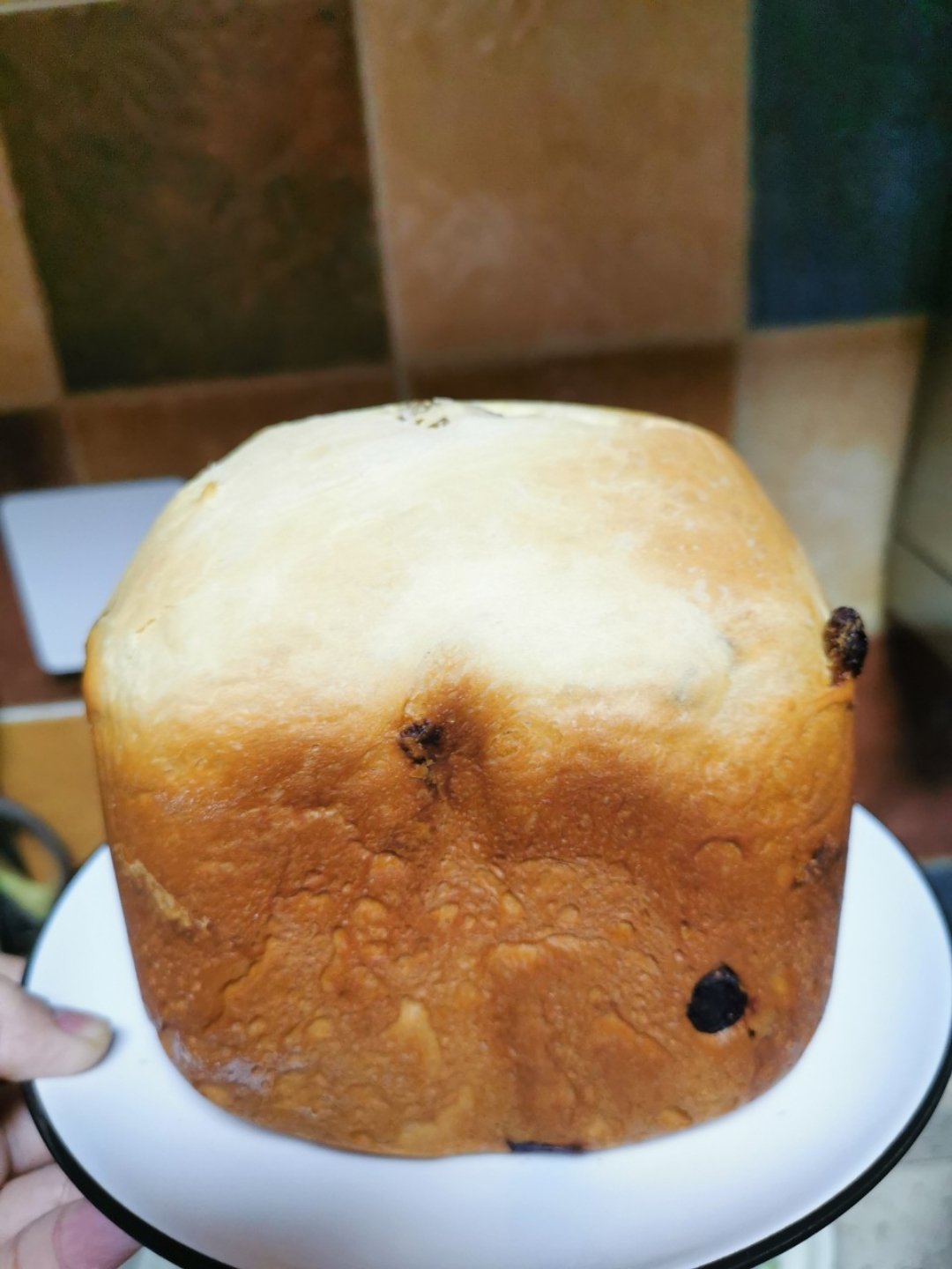 面包机做的芝麻葡萄干拉丝面包