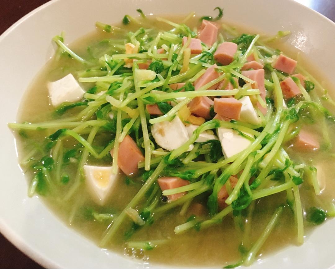 上汤豆苗