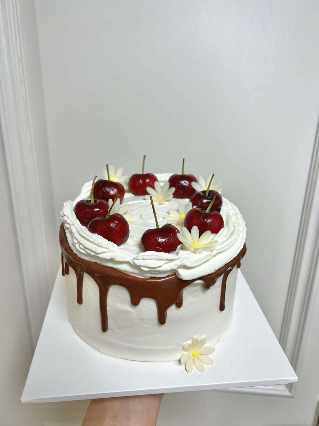 《Tinrry+》戚风蛋糕（6寸配方）（基础、超详细教程）