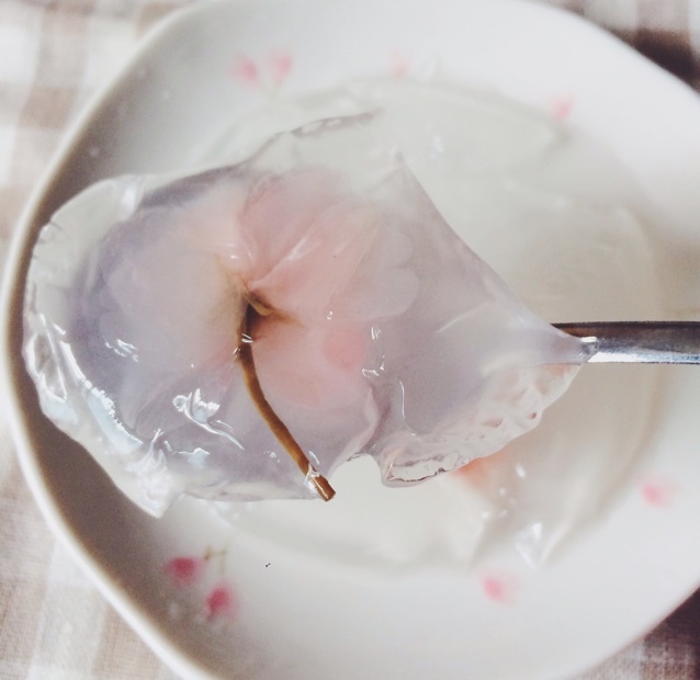 日本最温柔的梦幻和菓子 — 水信玄饼