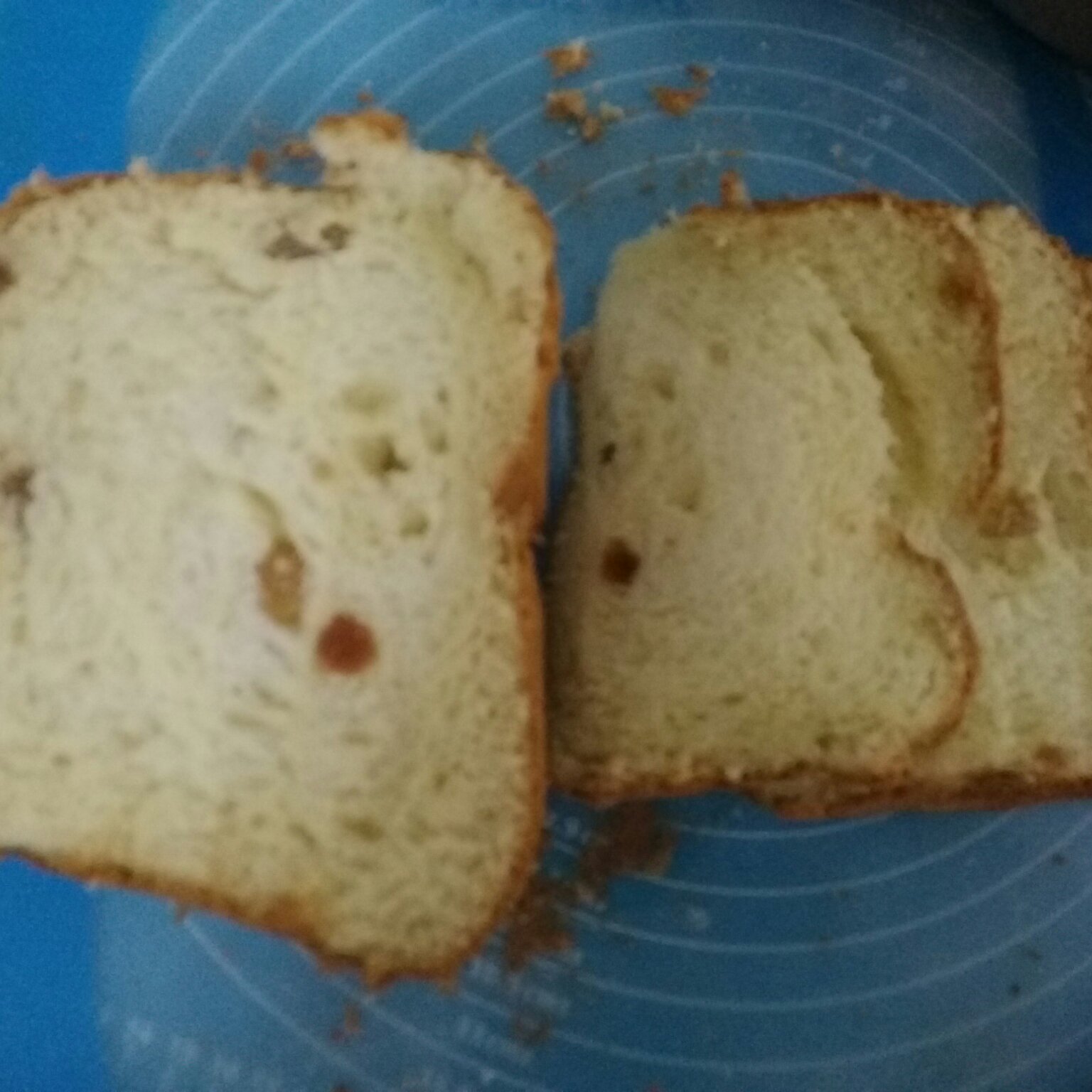 提子土司（柏翠面包机PE6280）自用方子