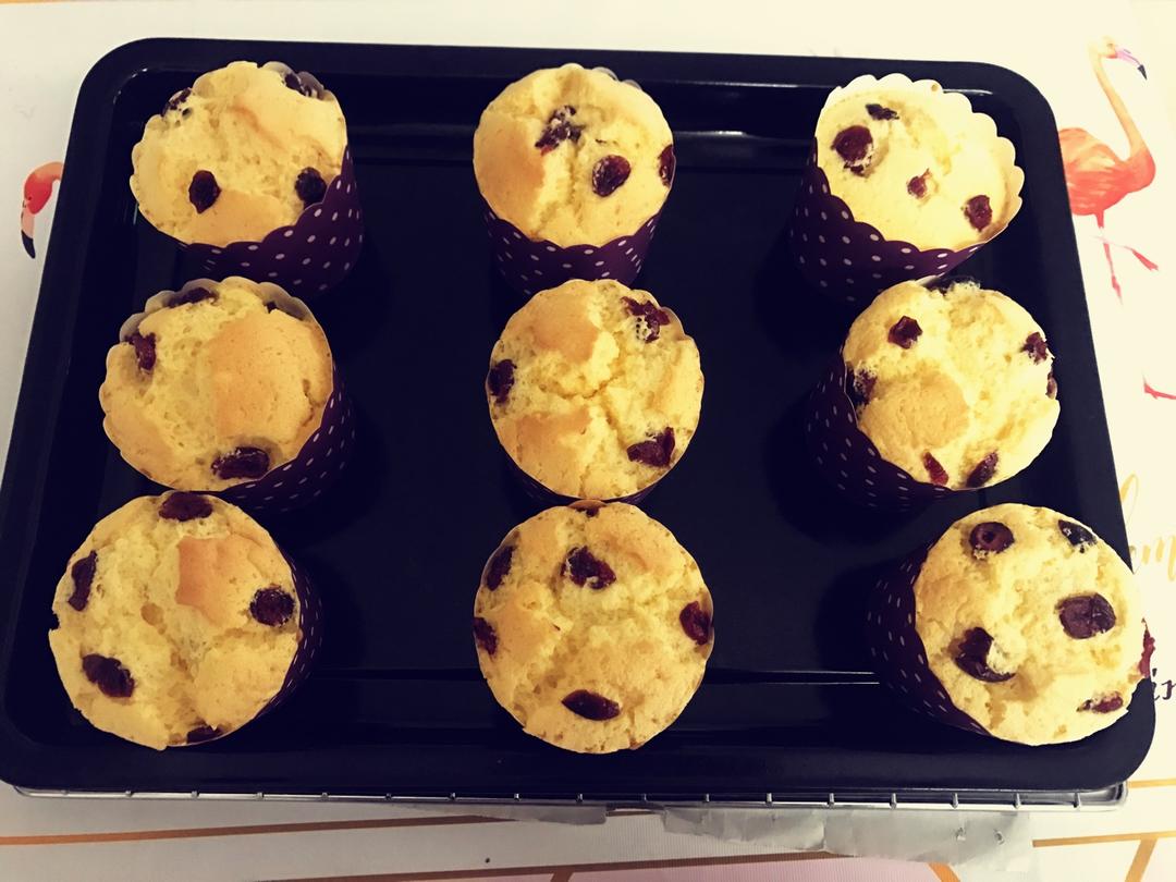 蔓越莓纸杯戚风小蛋糕