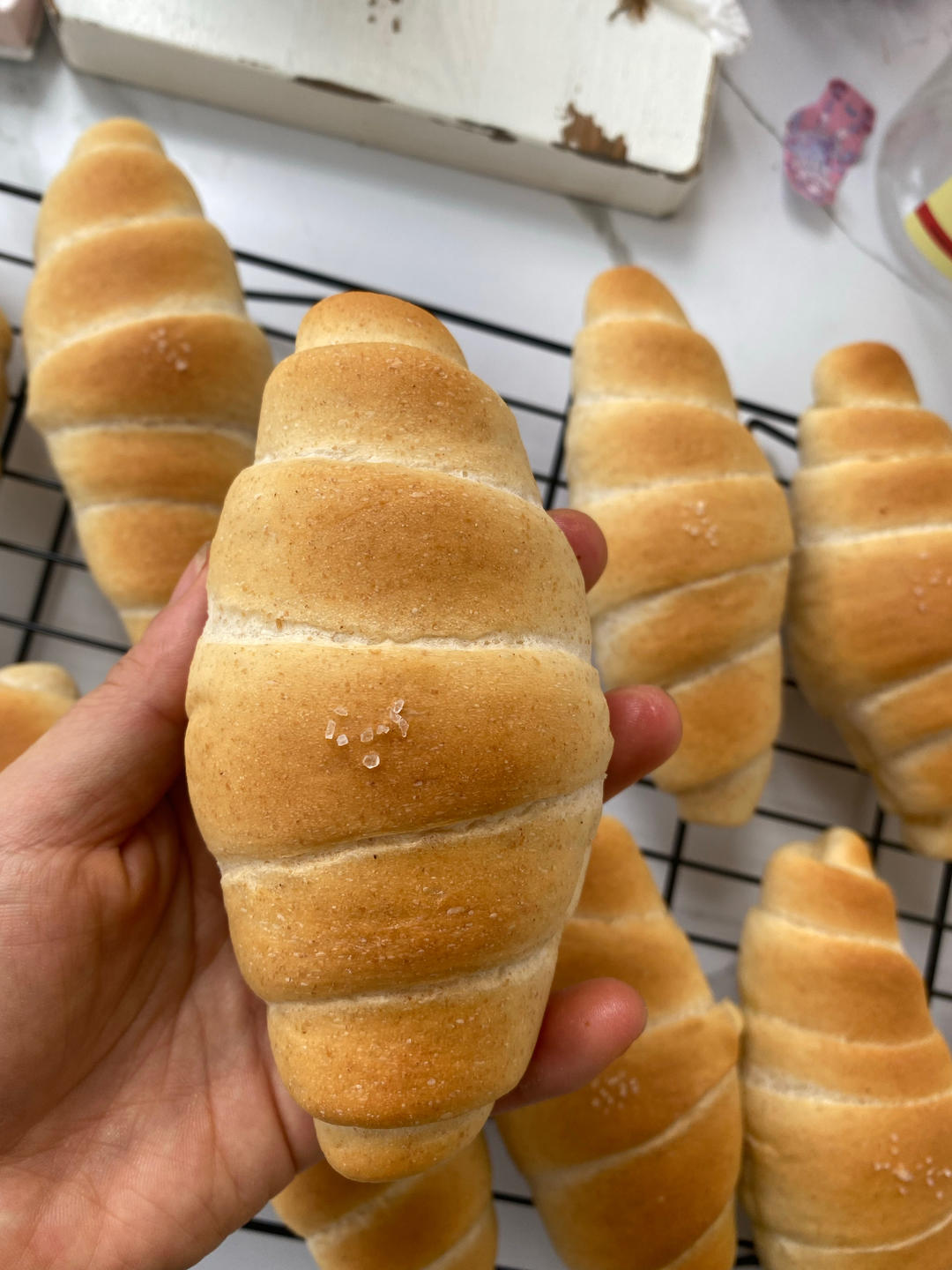 全麦盐面包卷｜日式海盐卷｜永远吃不腻